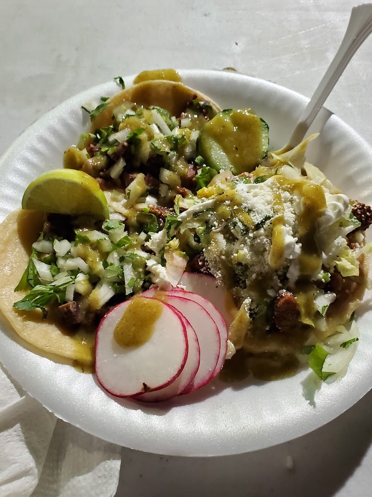 Carnitas at Tacos Garibaldi