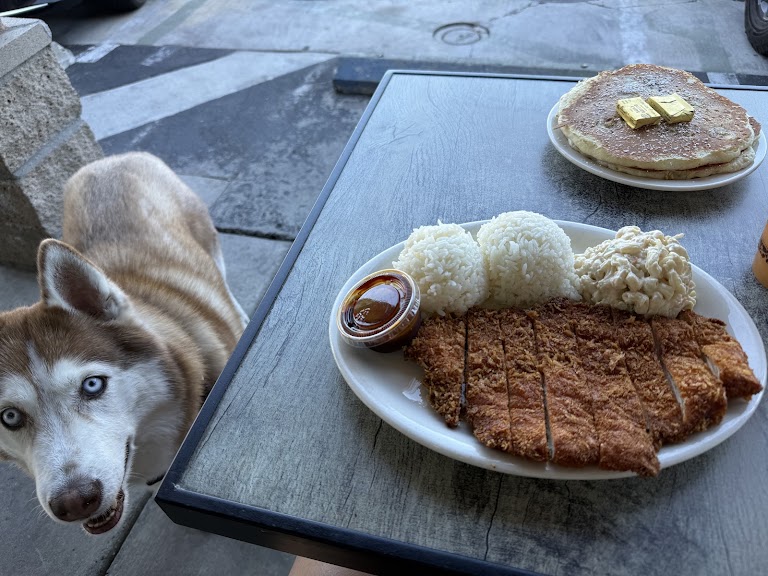 Chicken Katsu at Aloha Stacks