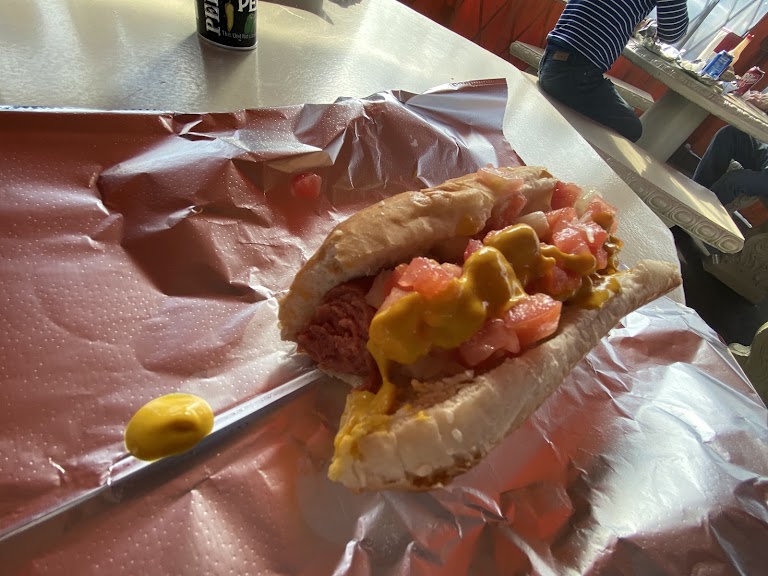 Regular Hot Dog at Hot Dogs Depot