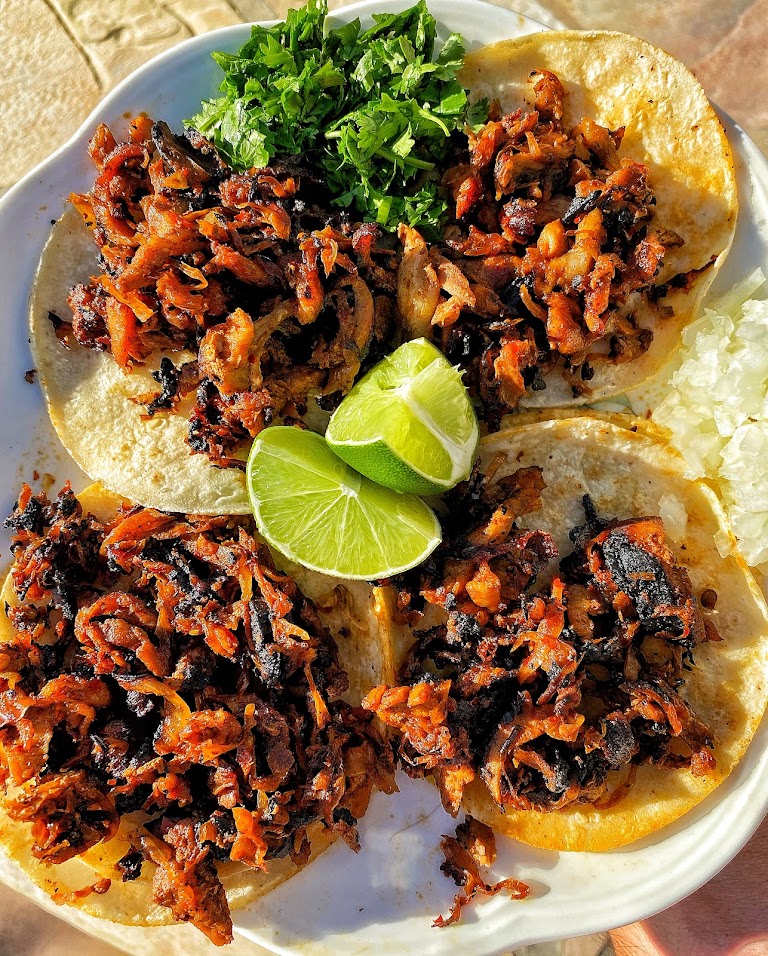 Carnitas at Taquería HOY!