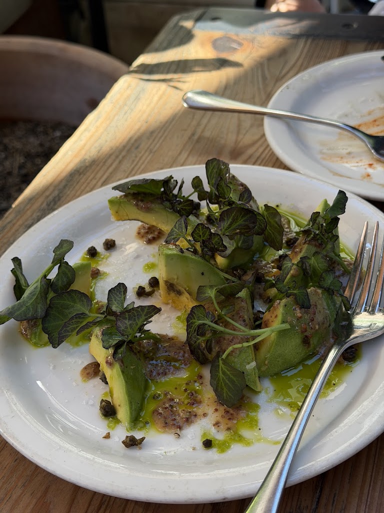 Burrata, Mint Pistou, Pea Tendril at Gjelina