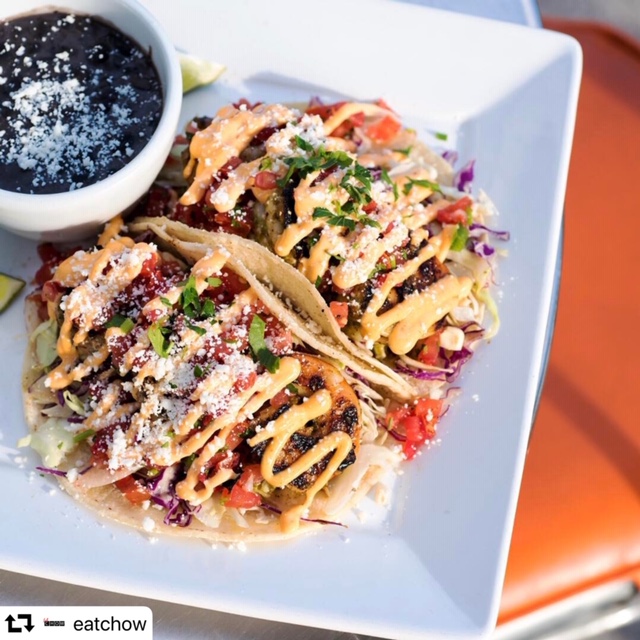 Breakfast Tacos at Eat Chow