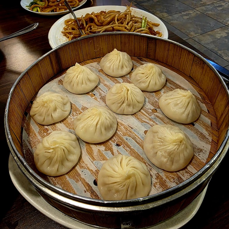 Pan-fried Dumplings at 1st Dumpling & Noodle