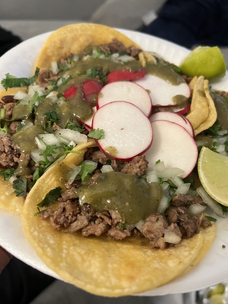 Tacos at Tacos Garibaldi