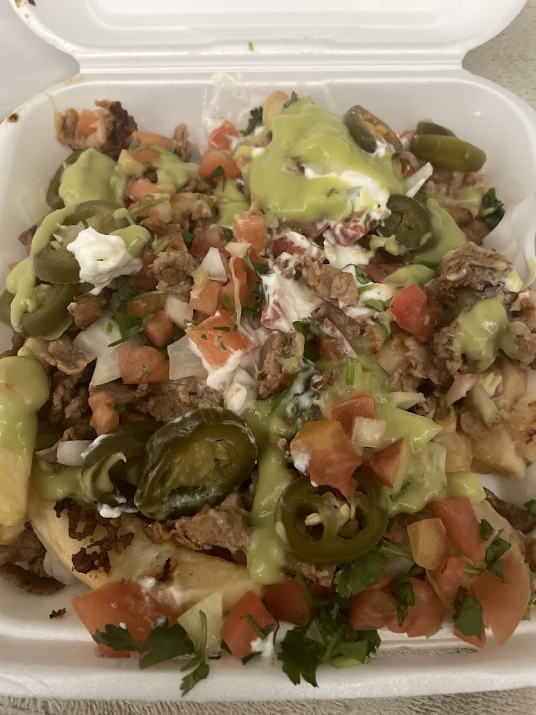 Asada Fries at Big Fat