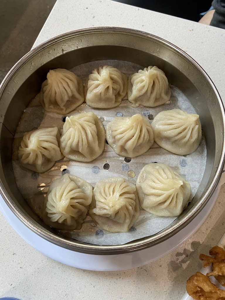 Juicy Pork Dumplings at Mama Lu's Dumpling House