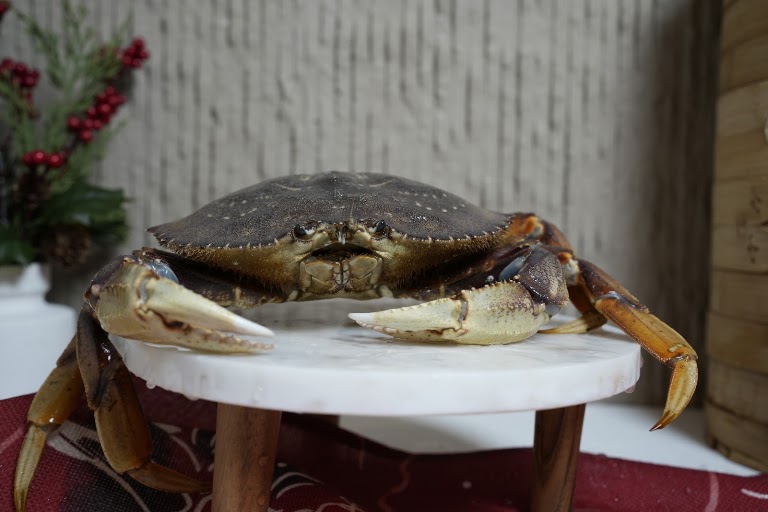 Dungeness Crab at Youpeng Seafood · Go Believe