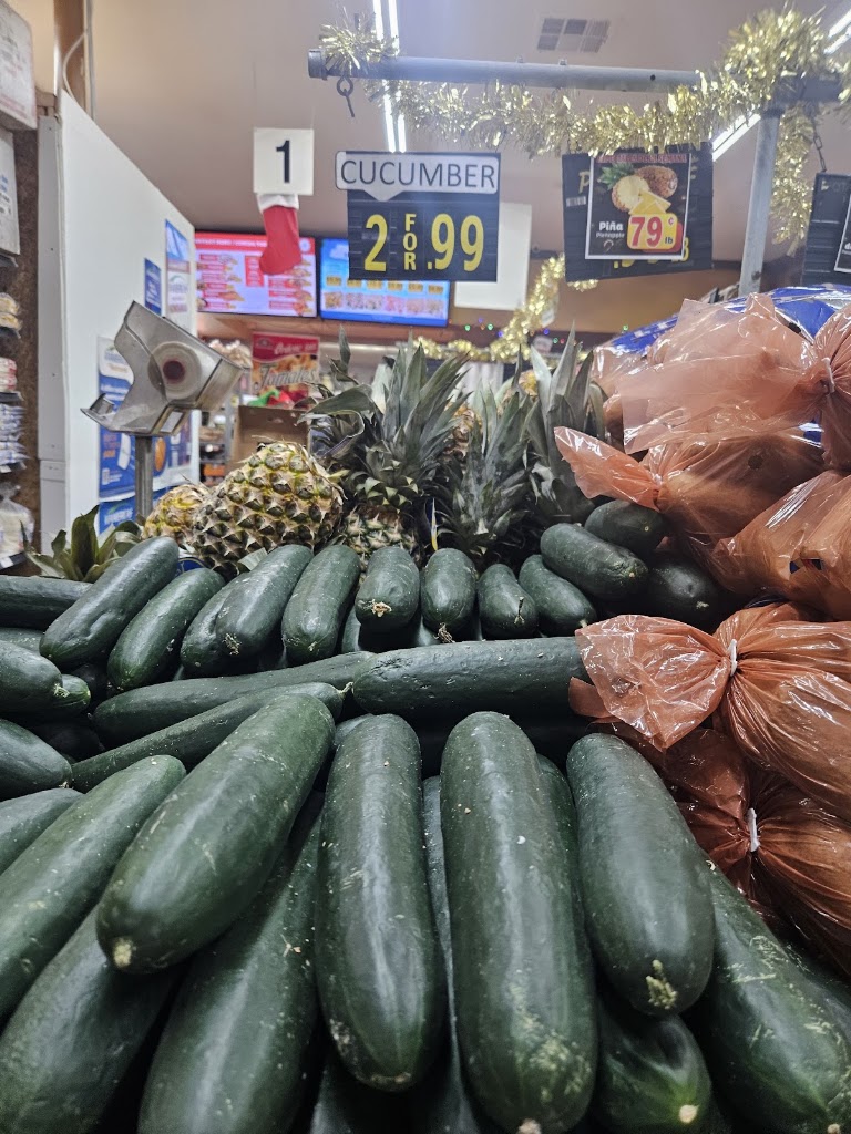 Cucumber at La cachanilla #5