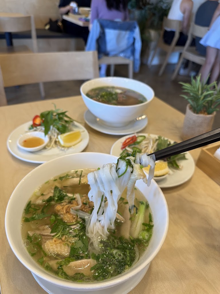 Noodle Soup at OneV Pho Bistro