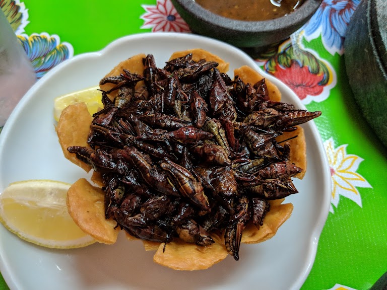 Chapulines Solos at Sabores Oaxaqueños Restaurant