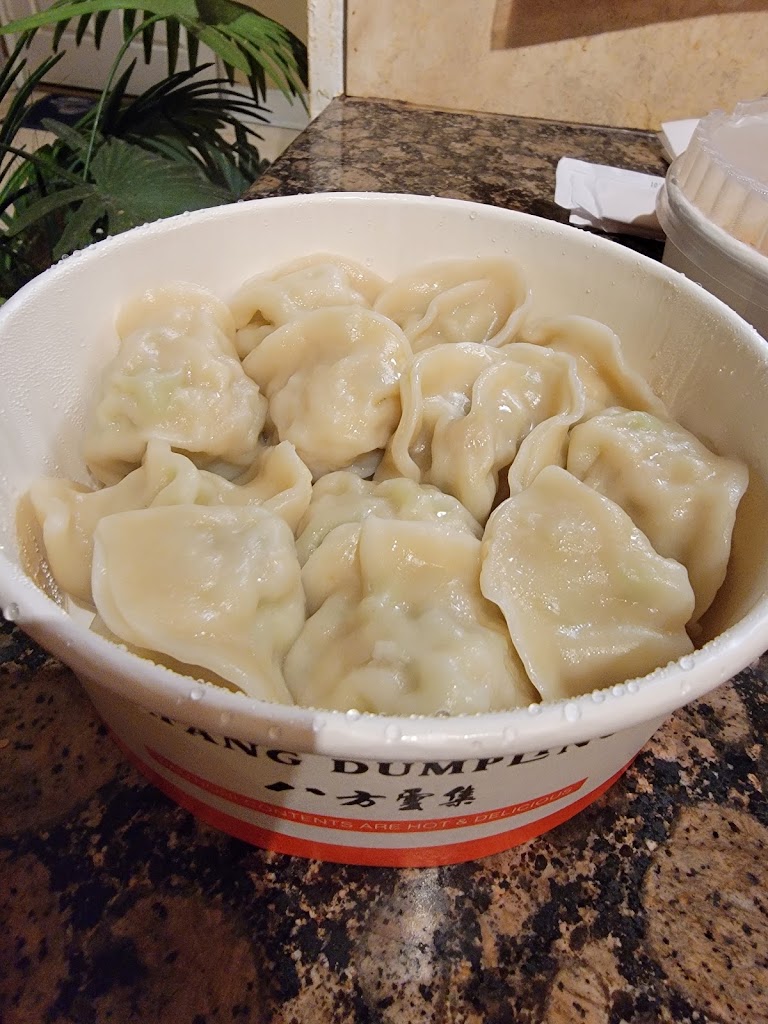 Signature Dumplings at Bafang Dumpling